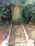 image of grave number 724072